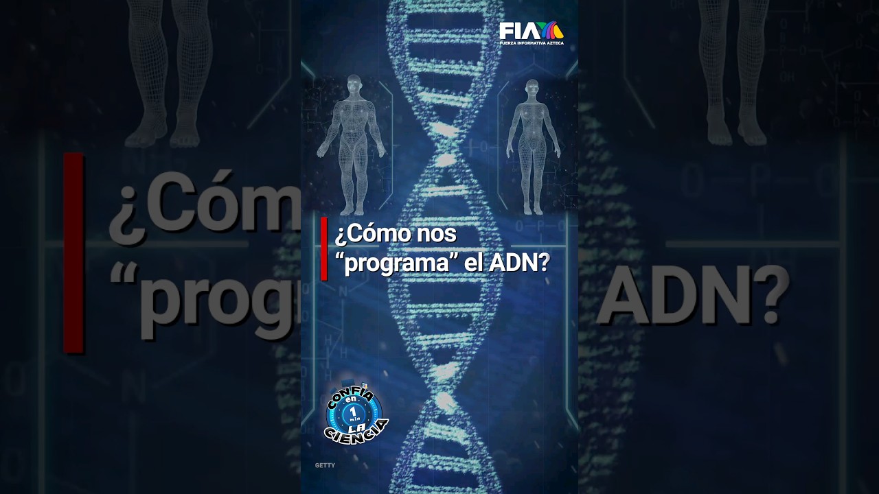molecula que forma el 63 del cuerpo humano