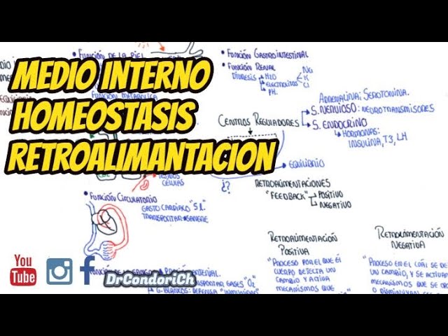 organización funcional del cuerpo humano y control del medio interno