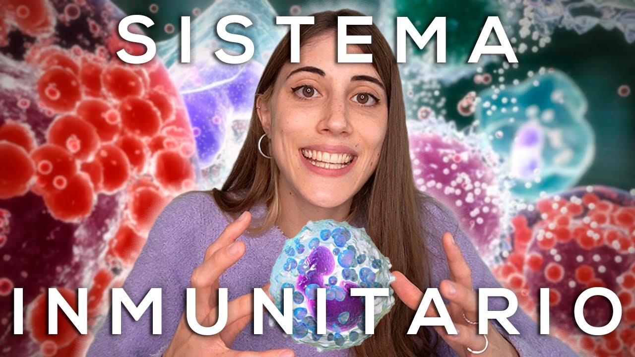 órganos principales del sistema inmunológico