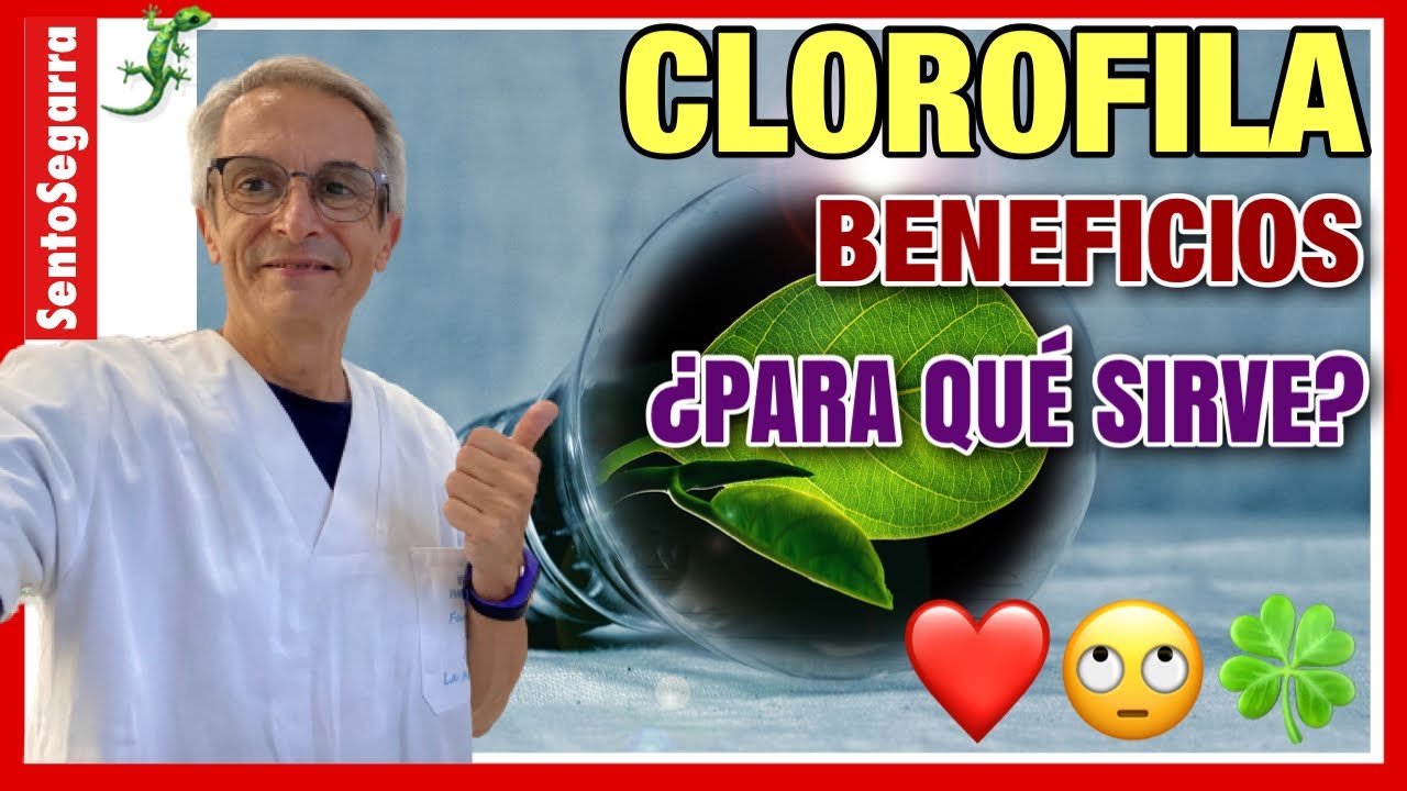 para que sirve la clorofila en las plantas