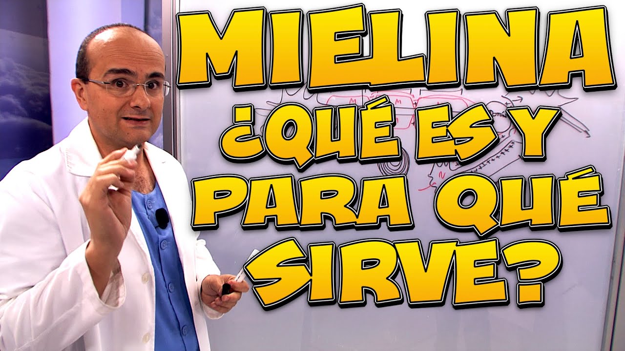para que sirve la vaina de mielina