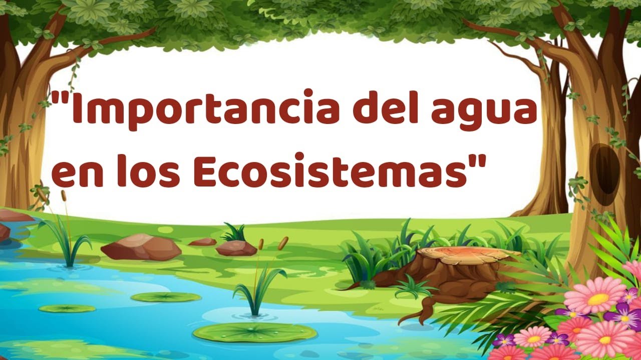 porque es importante el agua en los ecosistemas