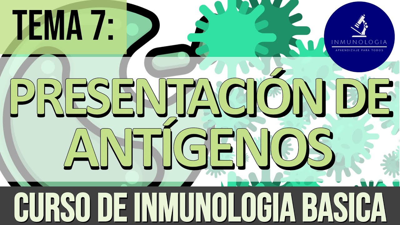 presentacion de antigenos a los linfocitos t