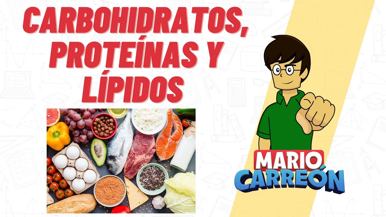 principales alimentos que contienen lípidos
