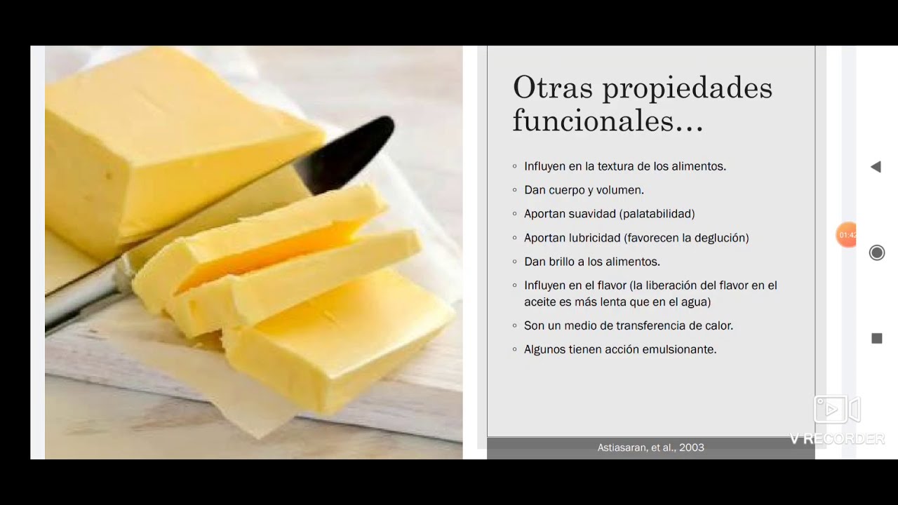 propiedades funcionales de los lipidos en alimentos