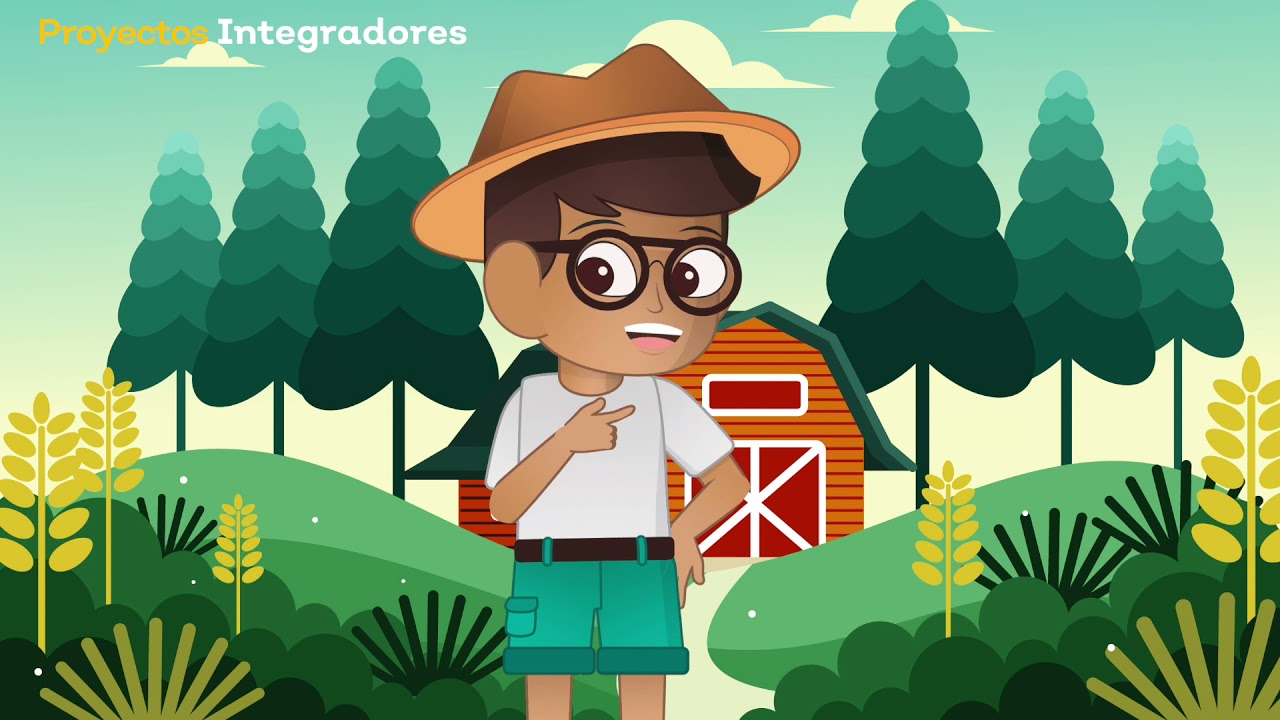 qué diferencia hay entre la nutrición de los animales y las plantas