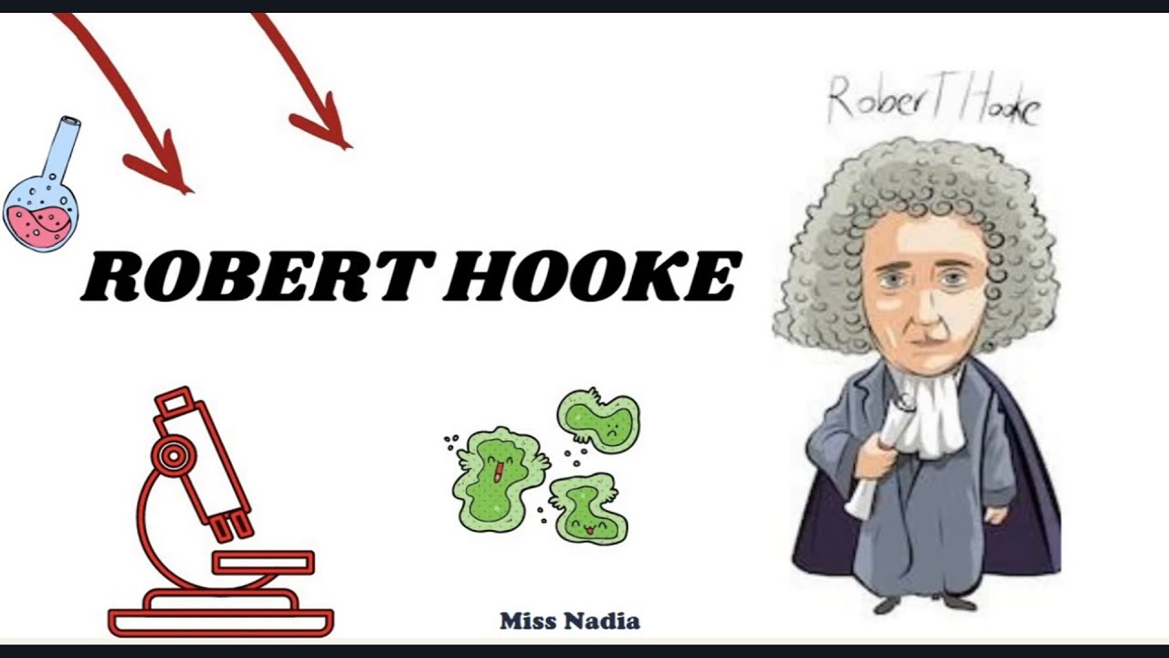 que observo robert hooke en el microscopio