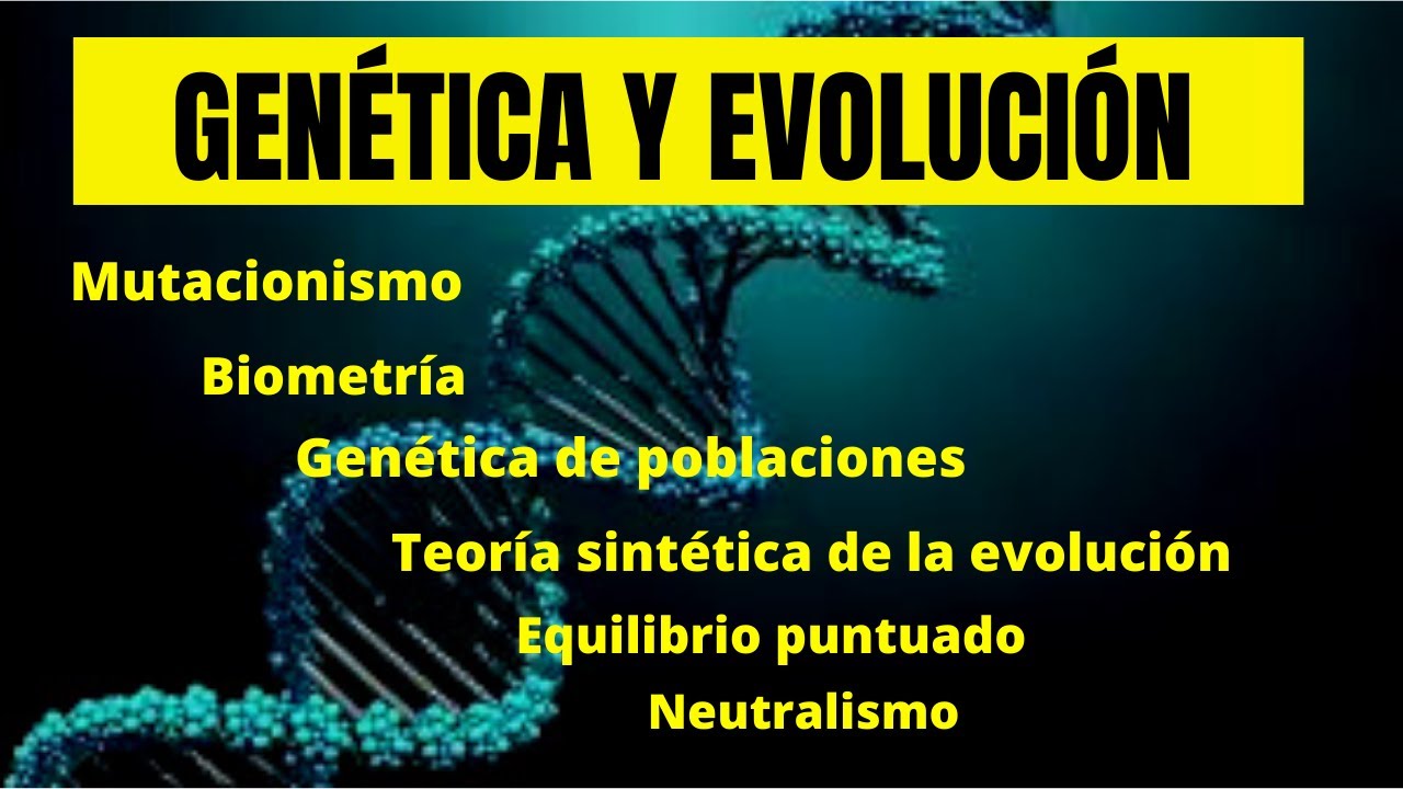 qué relación existe entre genética y evolución