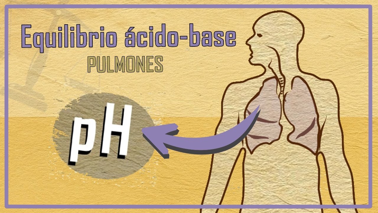 regulacion del ph en la respiracion