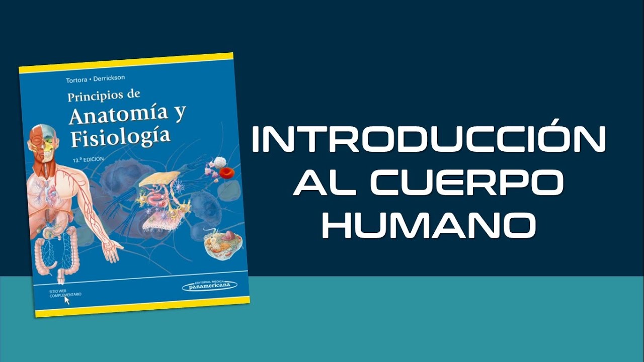 anatomia y fisiologia humana tortora