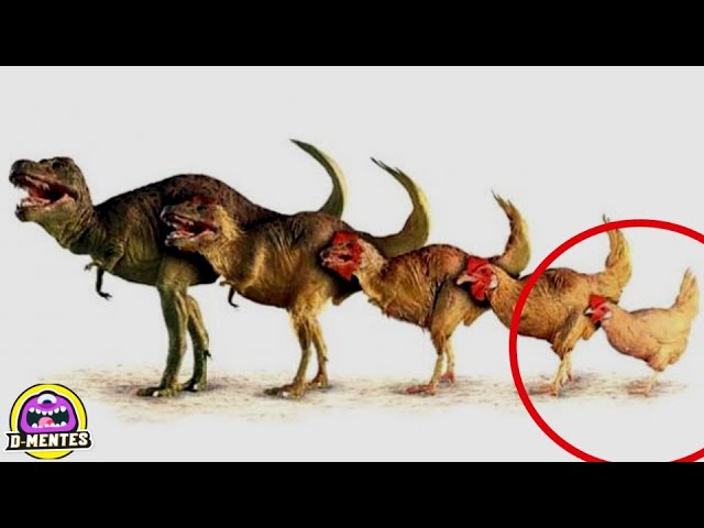 animales que evolucionaron y aún existen