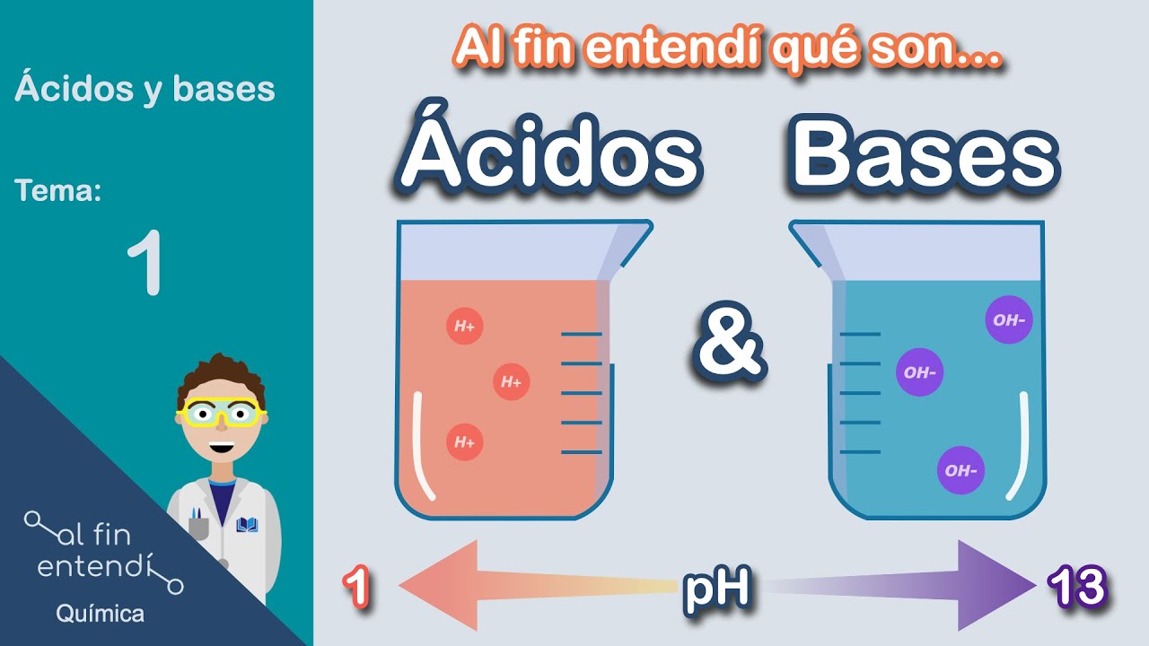 caracteristicas fisicas y quimicas de acidos y bases