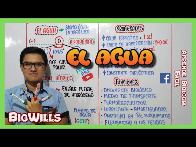 características funcionales del agua