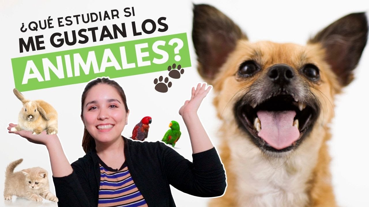 carreras relacionadas con el campo y los animales