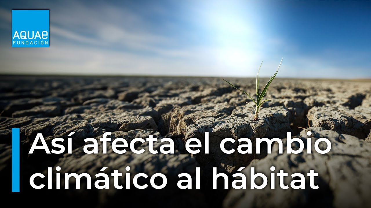 cómo afecta el cambio climático a los seres vivos