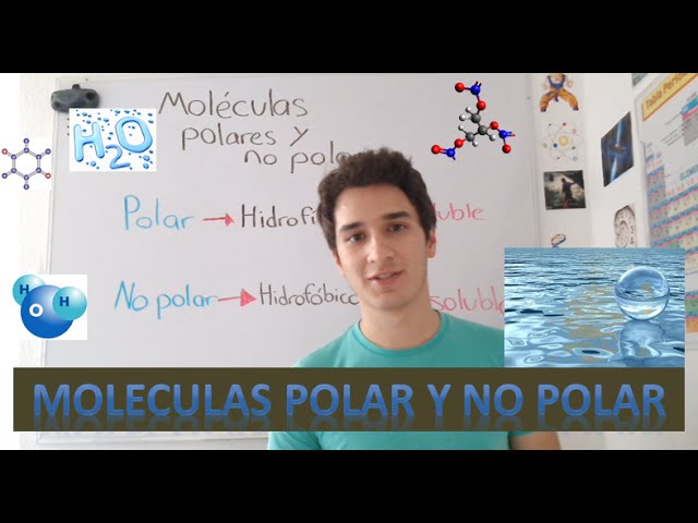 cómo interactúan las moléculas en una solución