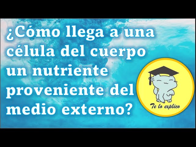 cómo llegan los nutrientes a las células