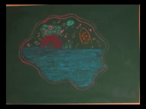 como se llaman las proteinas insolubles en agua