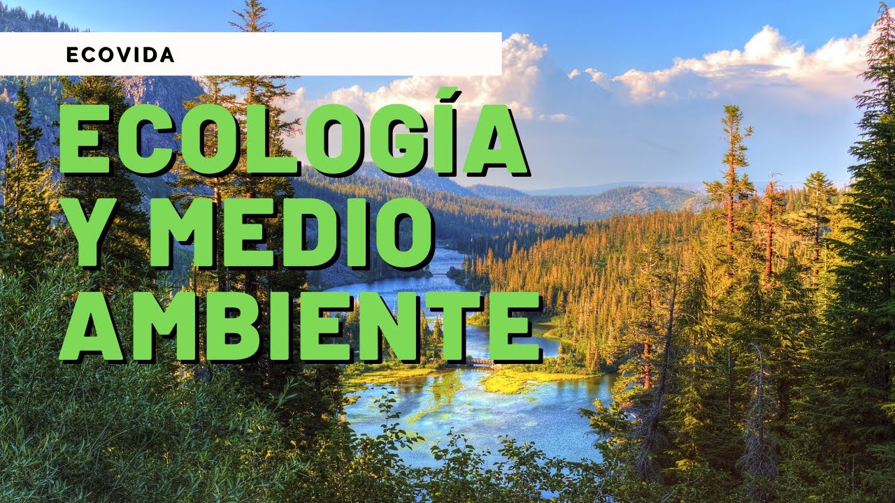 concepto de ecología y medio ambiente