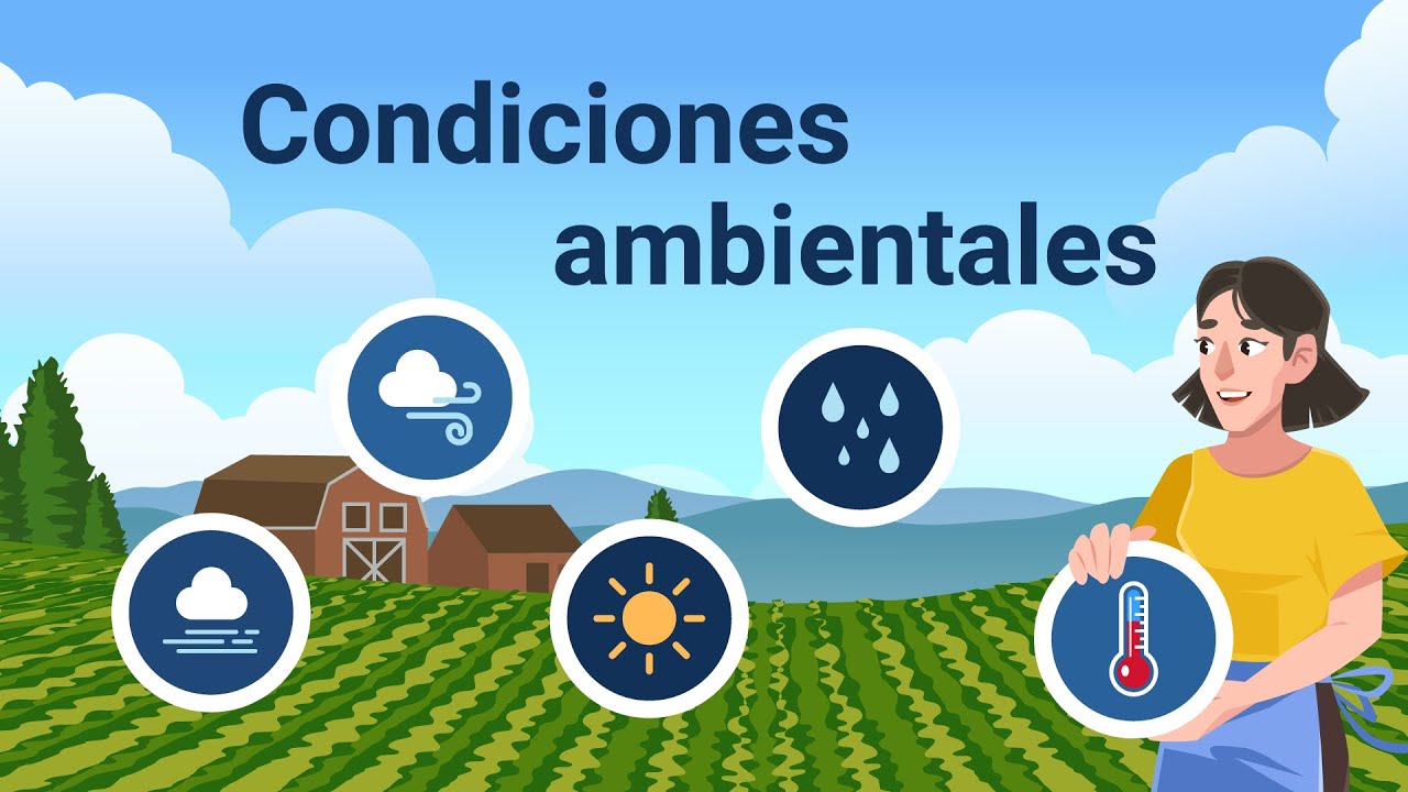 condiciones físicas y naturales de un lugar