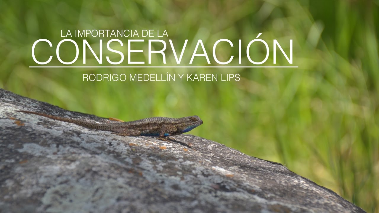 conservacion de la diversidad biologica
