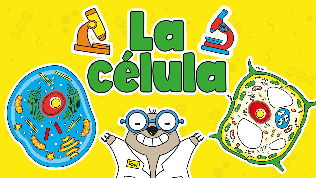 cual es la estructura de la celula animal