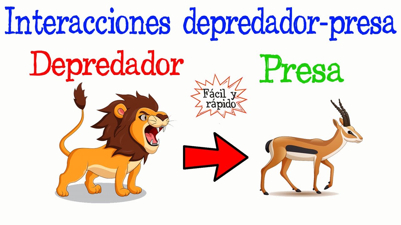 cuál es la importancia de los animales depredadores