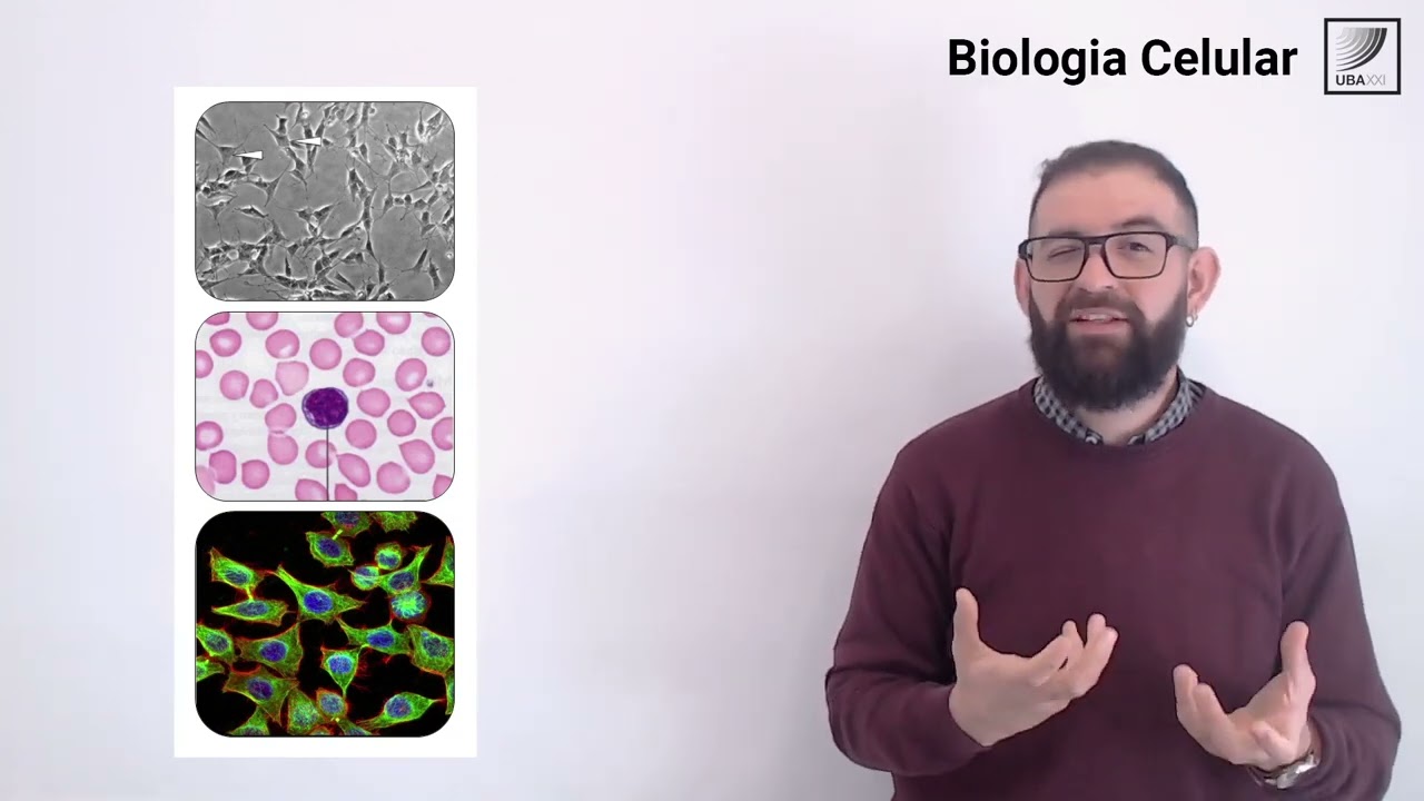 cuales son los dos microscopios electronicos basicos