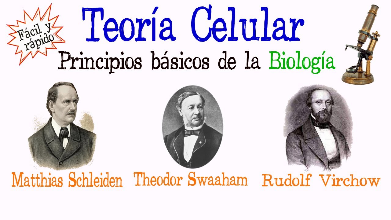 cuatro principios de la teoria celular
