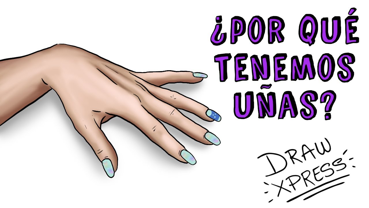 de que estan hechas las uñas de los humanos