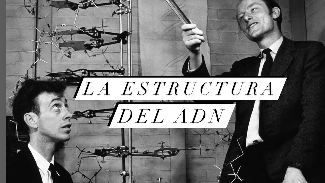 descubrimiento de francis crick y james watson