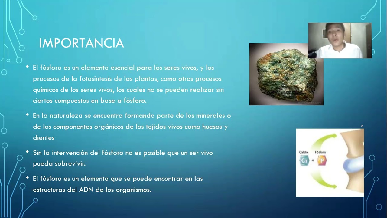 donde se encuentra el fosforo en la naturaleza