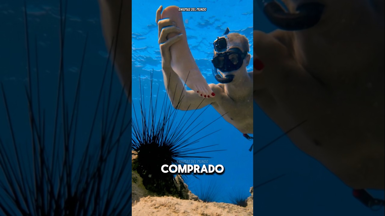 el erizo de mar es depredador o presa