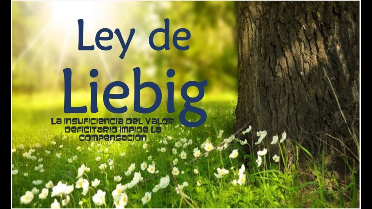 el factor limitante más escaso (ley del mínimo de liebig)