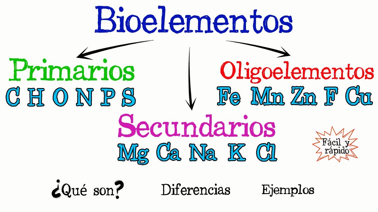 elementos primarios de los seres vivos