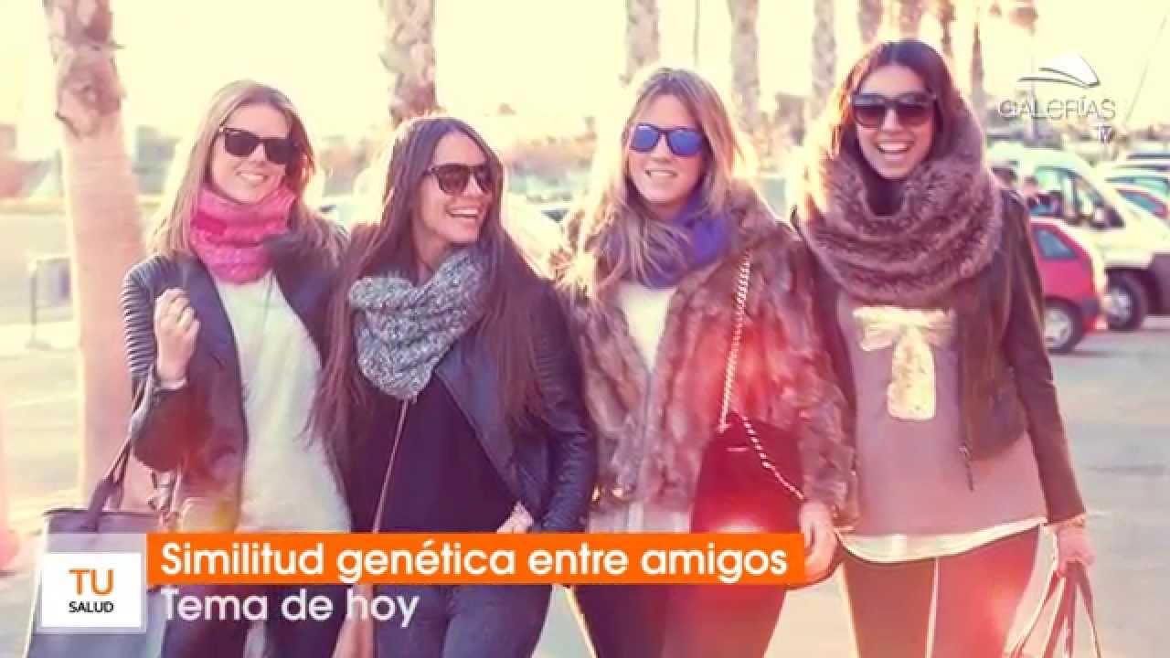 en que consiste la similitud genetica