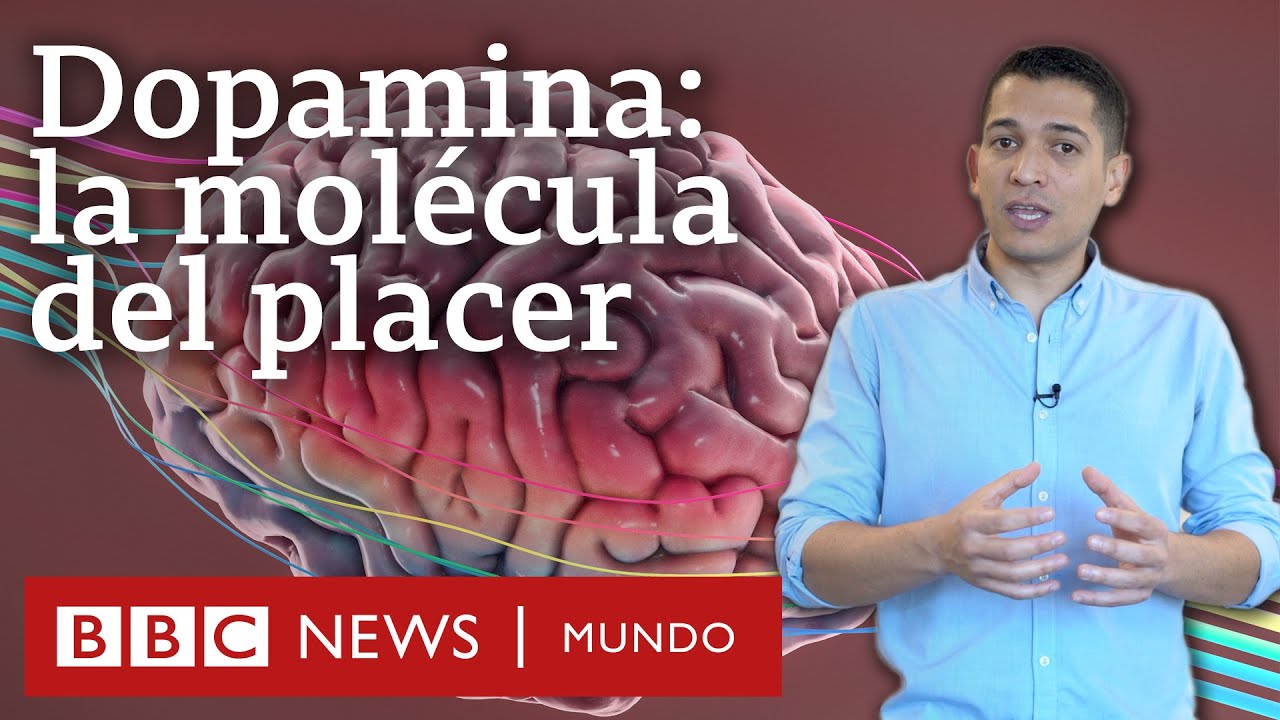en que reacciones quimicas esta involucrado la dopamina