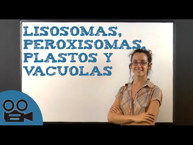 en que tipo de proceso celular participan las vacuolas y los peroxisomas