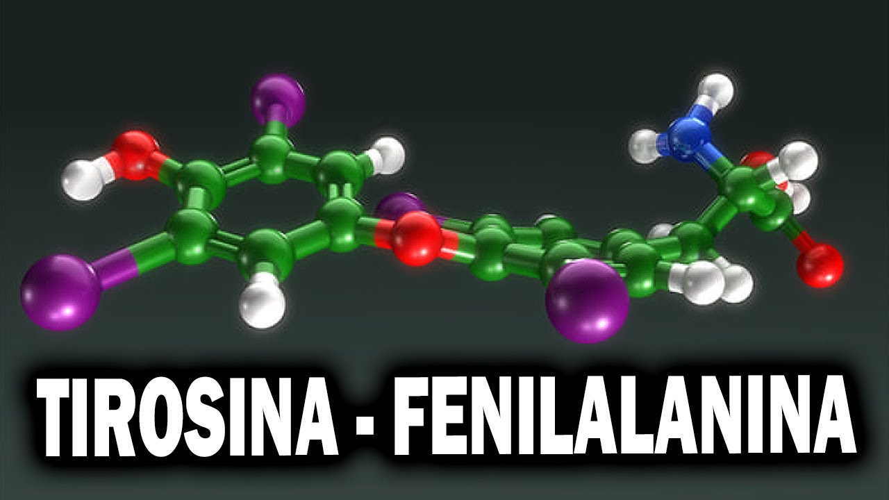 estructura quimica de la fenilalanina
