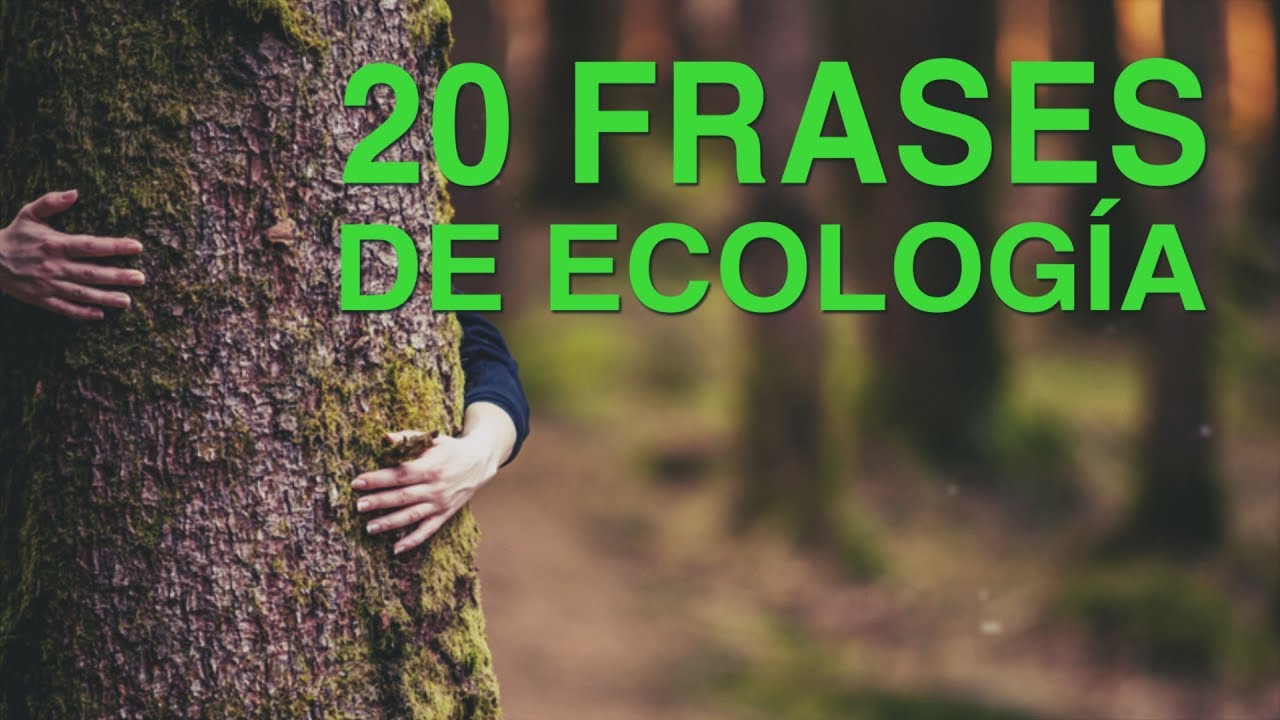 frases de ecologia y medio ambiente cortas