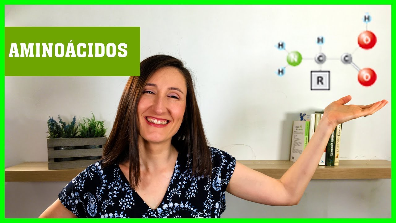 funcion de los aminoacidos en el cuerpo humano
