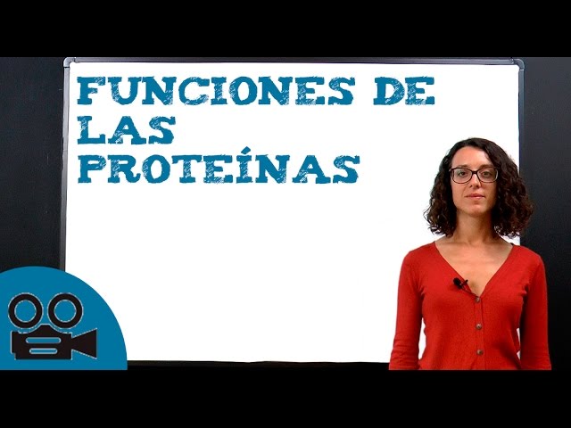 funcion de movimiento de las proteinas