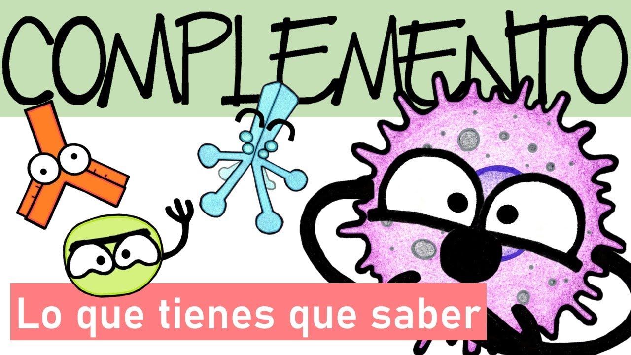 funcion del sistema del complemento