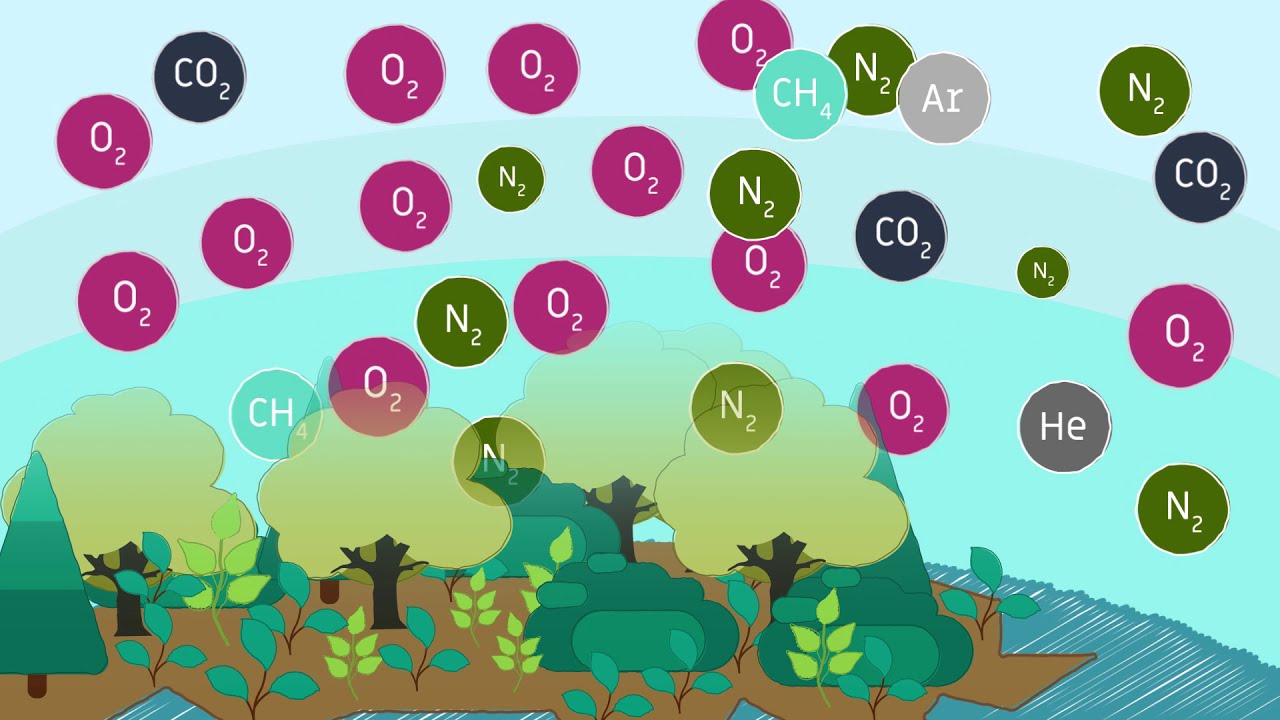 gases y componentes que forman parte del aire