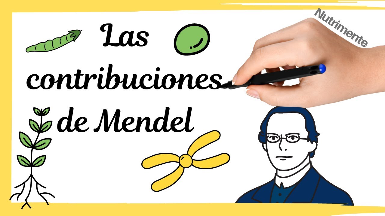 gregor mendel contribuciones a la ecologia