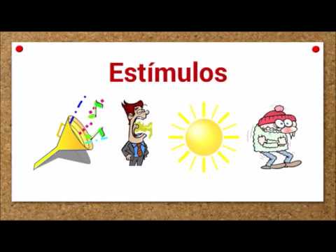 irritabilidad de los seres vivos ejemplos