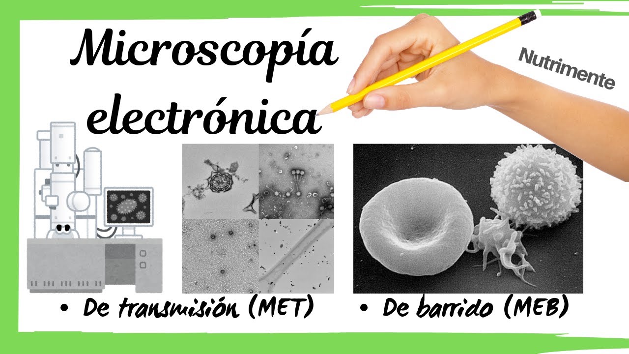 microscopio electronico de transmision caracteristicas