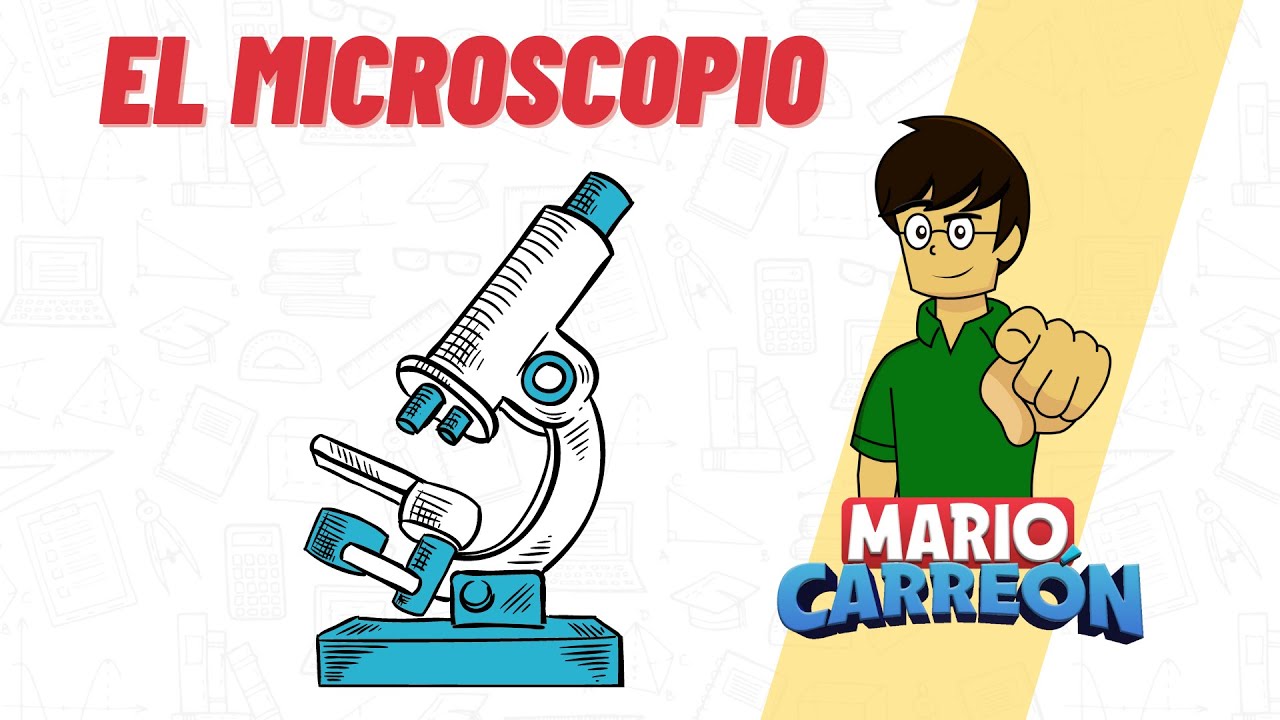 porque es importante el microscopio