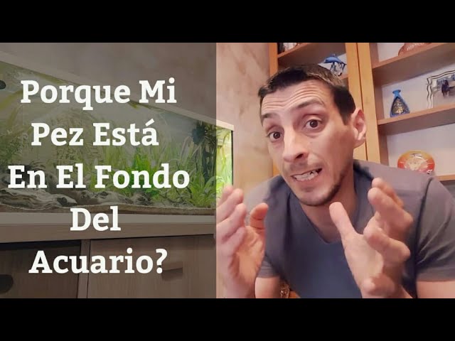porque los peces se quedan en el fondo sin moverse