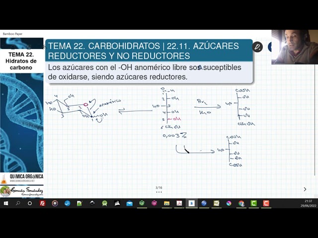 porque tienen caracter reductor los monosacaridos